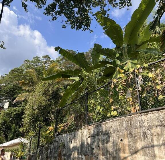 Pensão Rosmand Hills