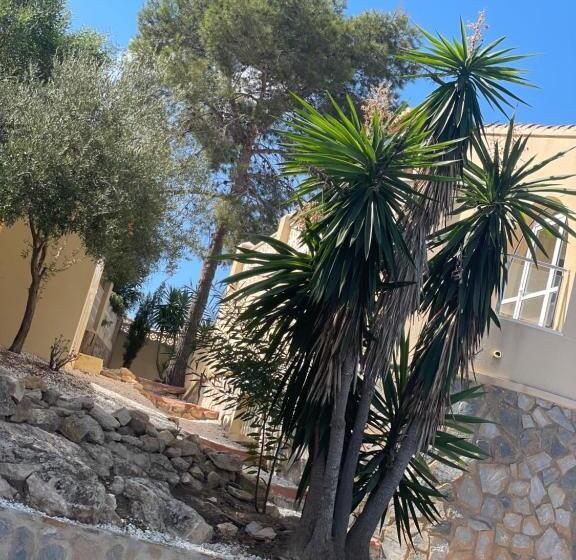 پانسیون Sopato