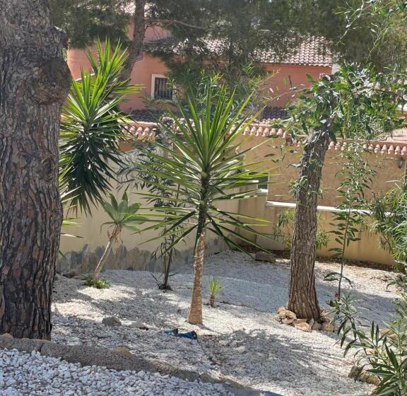 پانسیون Sopato