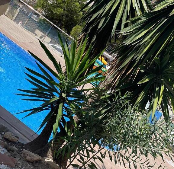 پانسیون Sopato