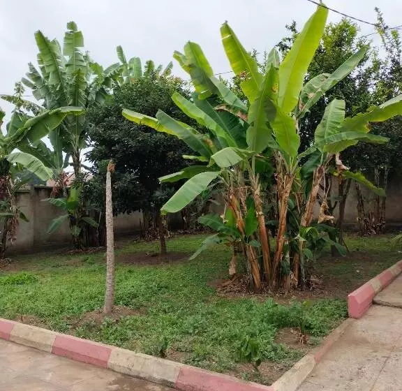 Visitor S Hostel