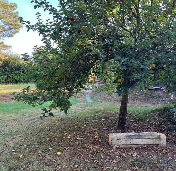 住宿加早餐  Cocon Nature Proche Bordeaux