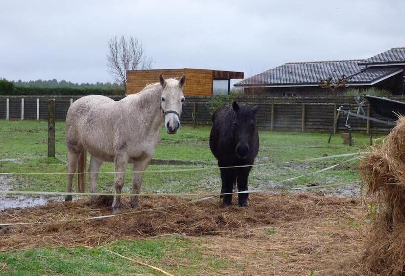 بنسيون Les 3 Notes De Mérotte