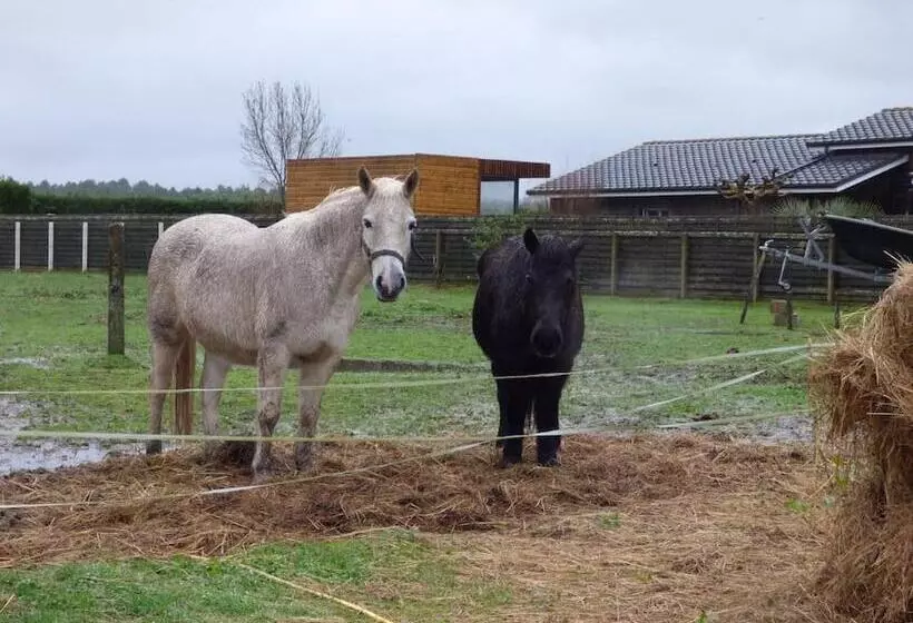 Majatalo Les 3 Notes De Mérotte