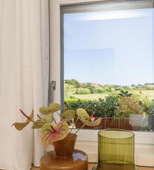 פנסיון Scarlea Rooms