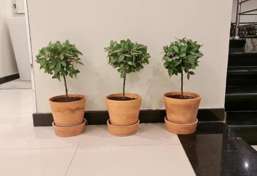 Pansiyon شاليه قطر الندى   الطائف