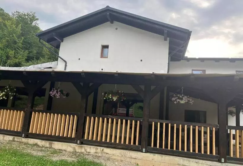 ペンション Casa Dinu