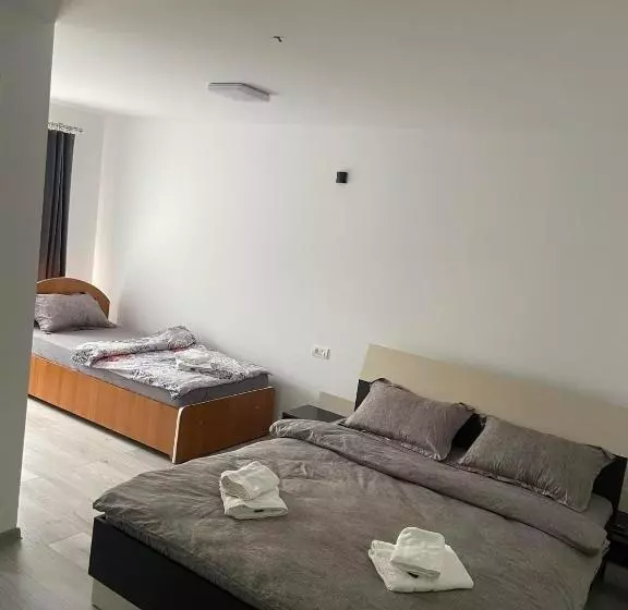 ペンション Casa Dinu
