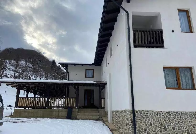 ペンション Casa Dinu