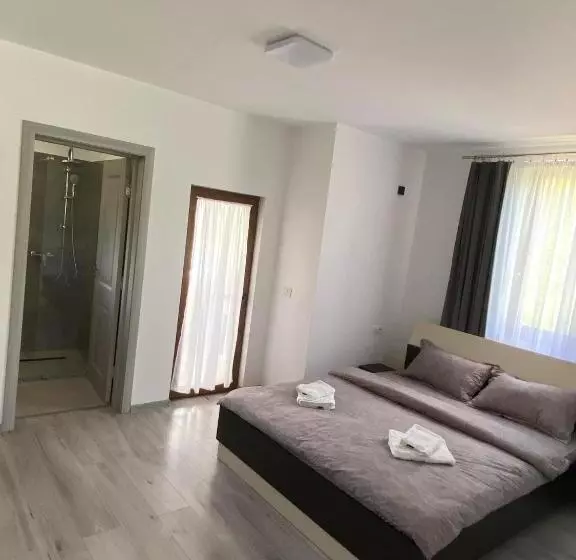 ペンション Casa Dinu