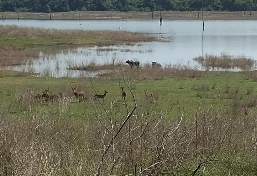 بنسيون Gal Oya Lakeside