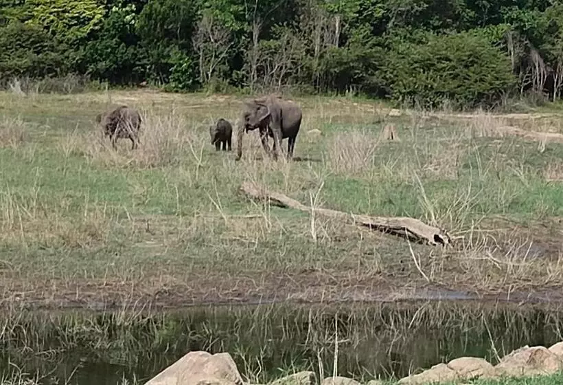 Majatalo Gal Oya Lakeside