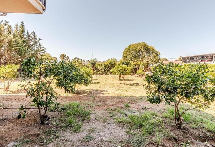 پانسیون Numberz Rooms And Apartments