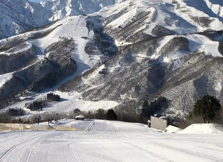 هاستل Hakuba Hospitality Inn Yukinoso