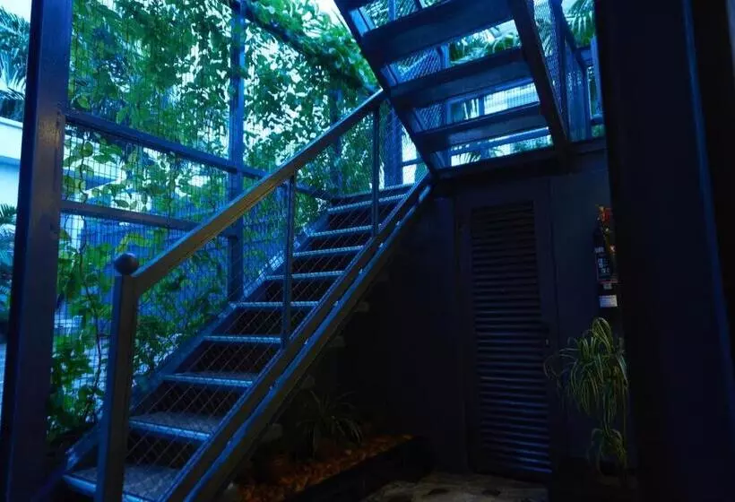 Green House Hotel And Apartments