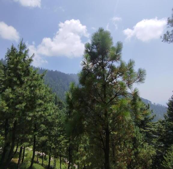 هتل Lahore Guest House, Dadar, Siran Valley