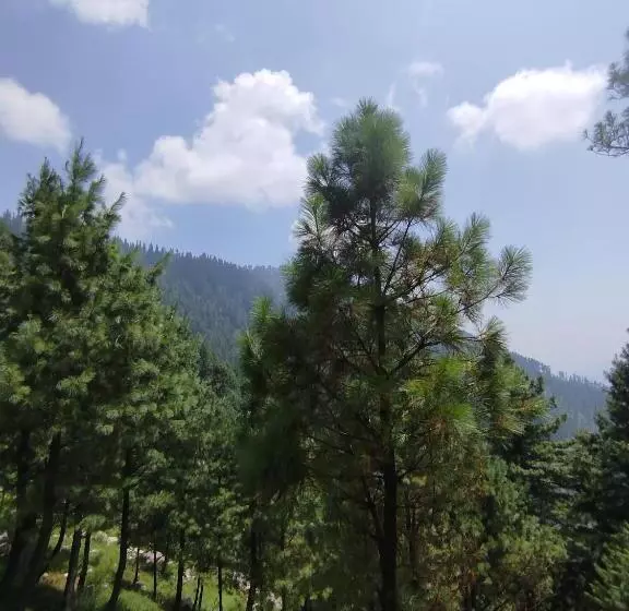 هتل Lahore Guest House, Dadar, Siran Valley