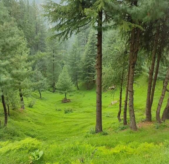 هتل Lahore Guest House, Dadar, Siran Valley