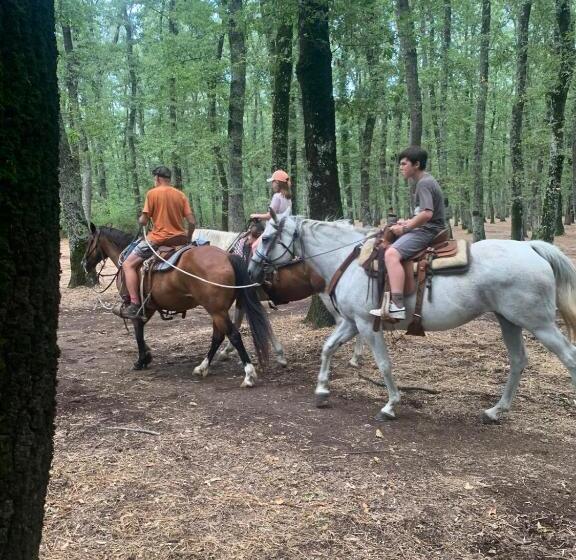 فندق Locanda Epica