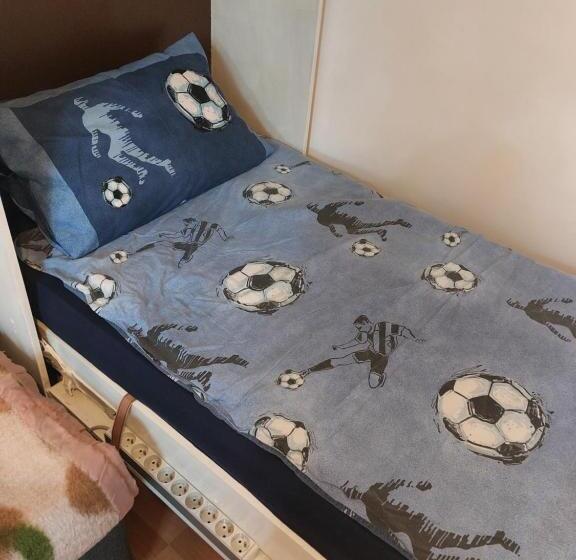 פנסיון Chambre Avec 1 Lits Et 1 Canapé Convertible, Salle De Bain Et Cuisine Communes