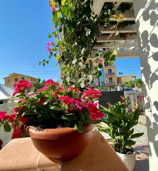 Pensionat Zambaku I Detit Lily Of The Sea