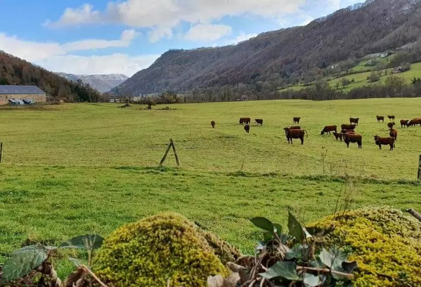 Aamiaismajoitus (B&B) Château De Longevergne