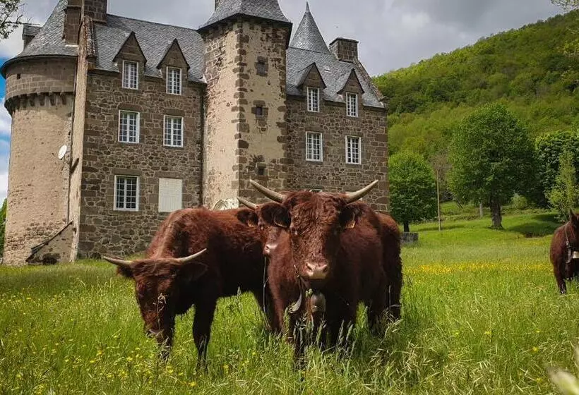 Aamiaismajoitus (B&B) Château De Longevergne