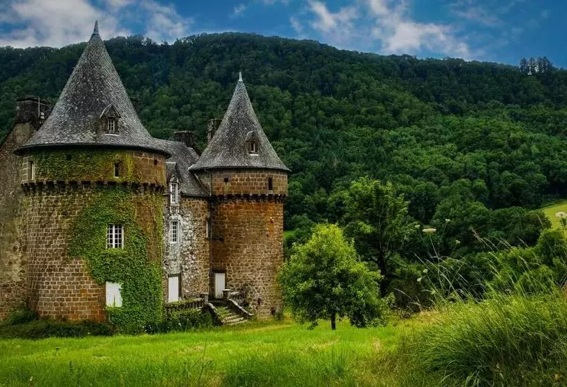Aamiaismajoitus (B&B) Château De Longevergne