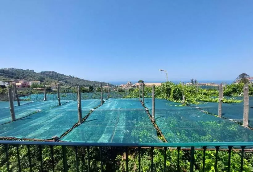 Il Pozzillo Maison