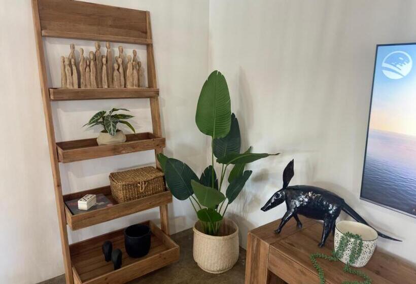 膳宿费 The Blue Shutter Guest House