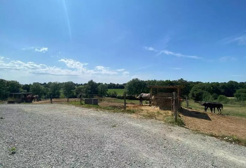 Aamiaismajoitus (B&B) Chambre D Hôtes Des Roseaux