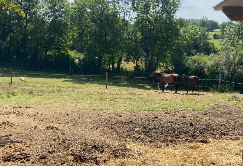 ベッドアンドブレックファースト Chambre D Hôtes Des Roseaux