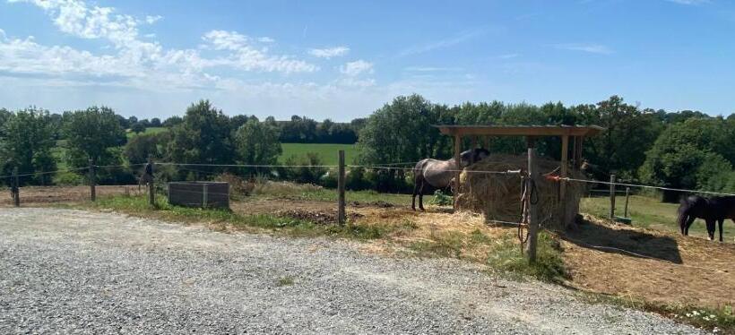 ベッドアンドブレックファースト Chambre D Hôtes Des Roseaux