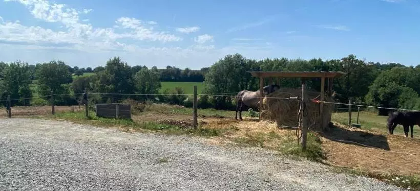Aamiaismajoitus (B&B) Chambre D Hôtes Des Roseaux