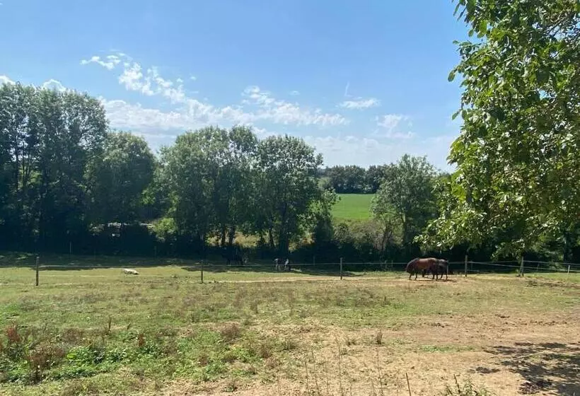 Aamiaismajoitus (B&B) Chambre D Hôtes Des Roseaux