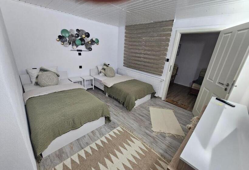 Пансион Casa David