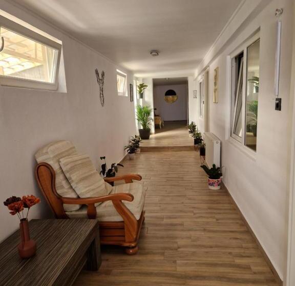 Пансион Casa David