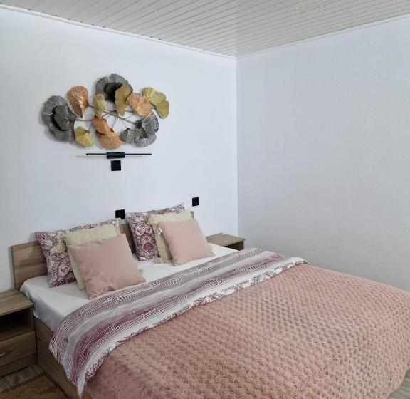 Пансион Casa David