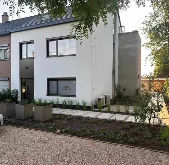 Majatalo Huis Vanellus