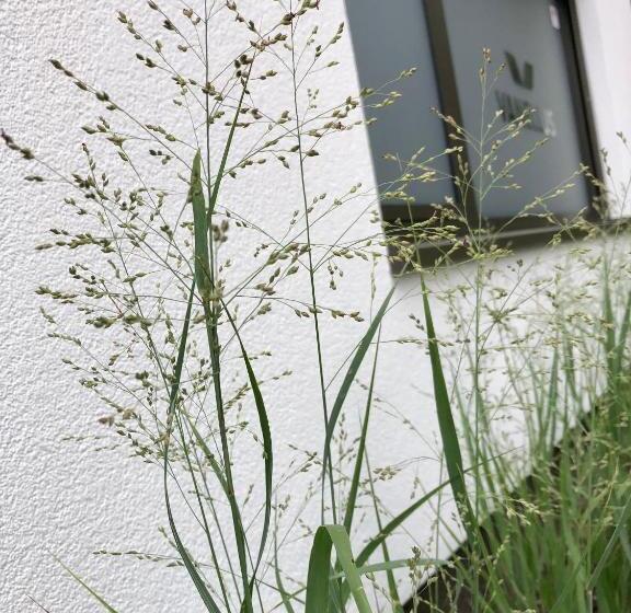 پانسیون Huis Vanellus