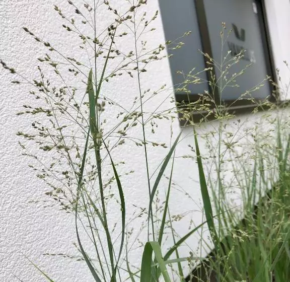 Majatalo Huis Vanellus