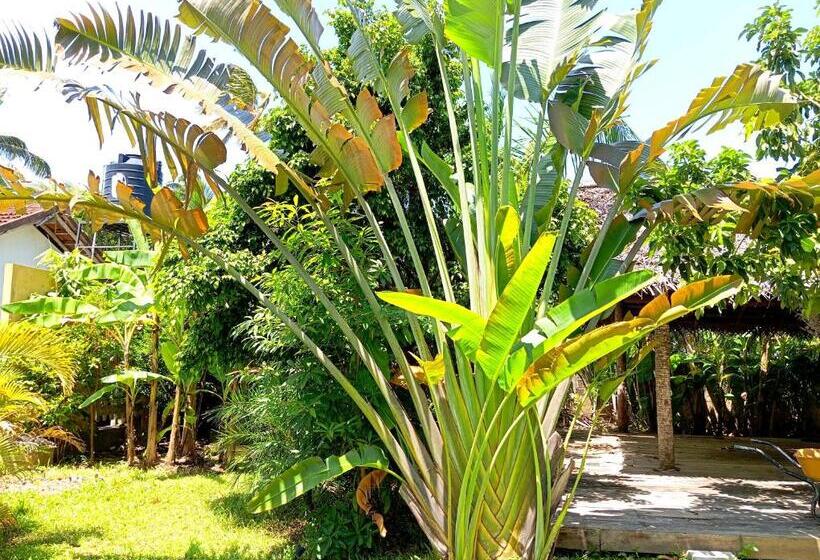 پانسیون Randi Villa