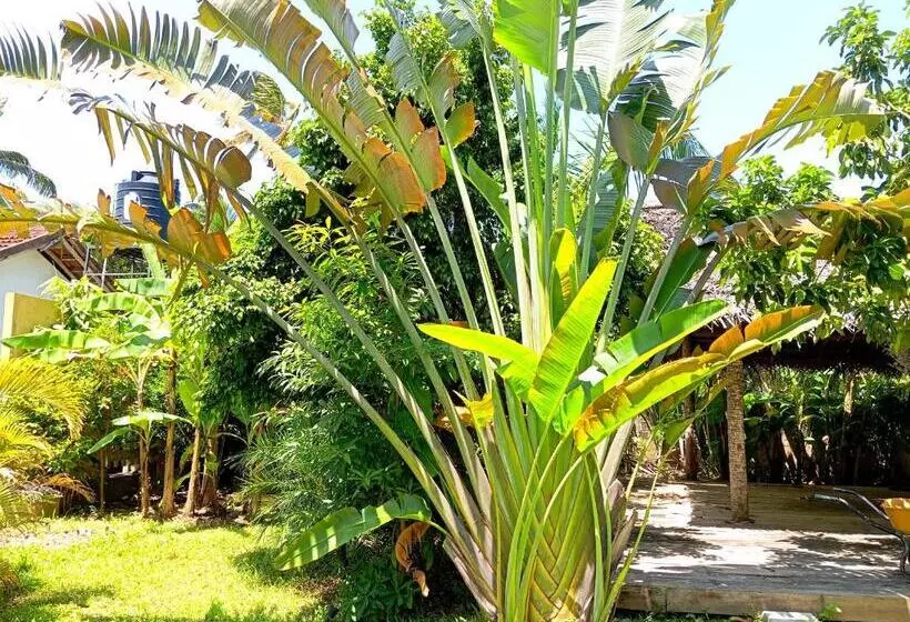 پانسیون Randi Villa