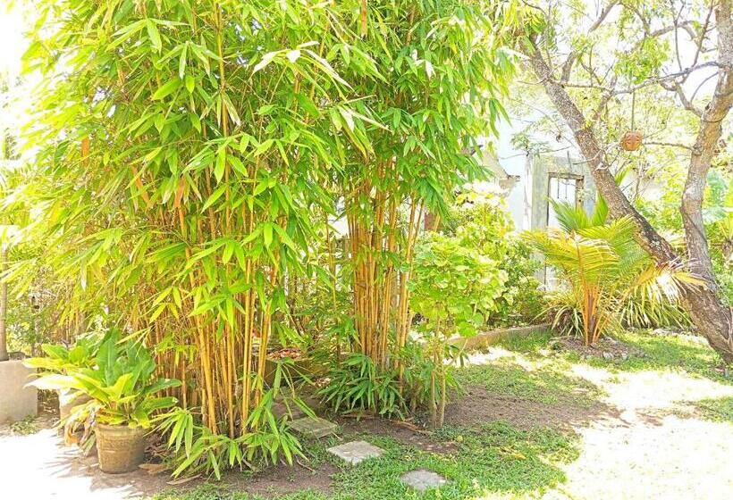 پانسیون Randi Villa