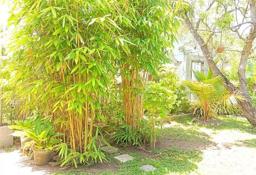 پانسیون Randi Villa