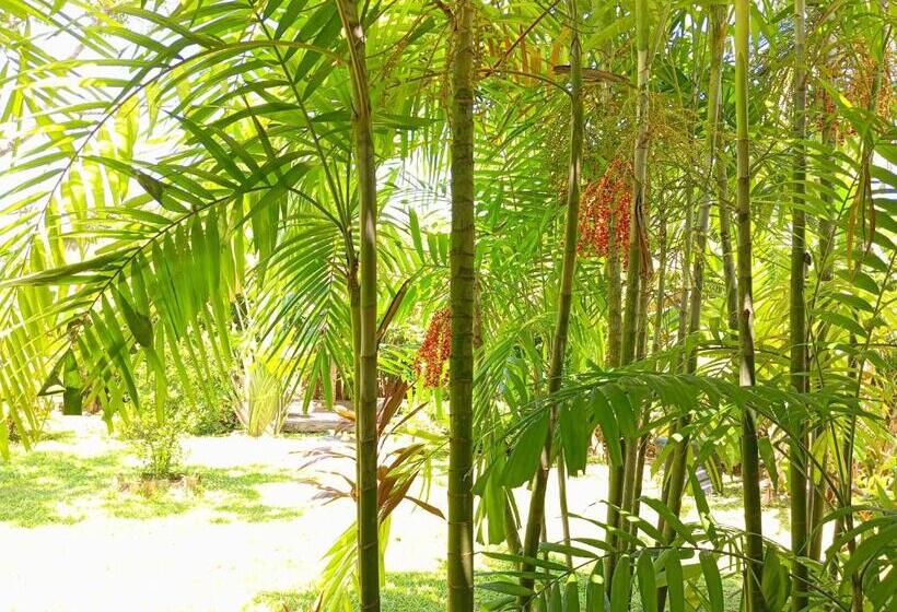 پانسیون Randi Villa