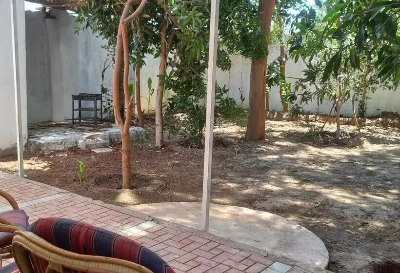 پانسیون Villa Rose Luxor