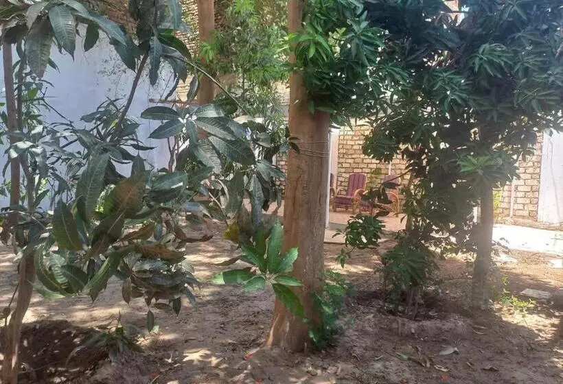 پانسیون Villa Rose Luxor