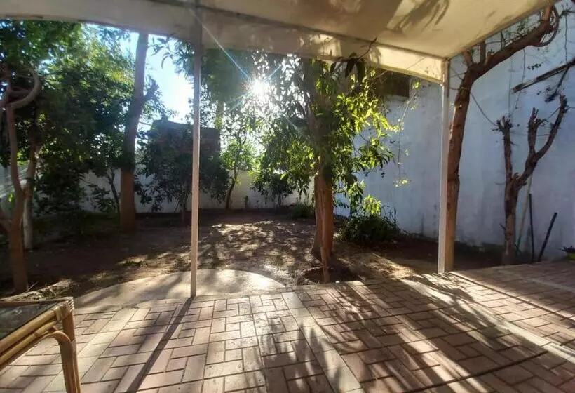 پانسیون Villa Rose Luxor