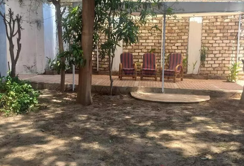 پانسیون Villa Rose Luxor